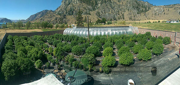 Oberfelder Farm July 2015